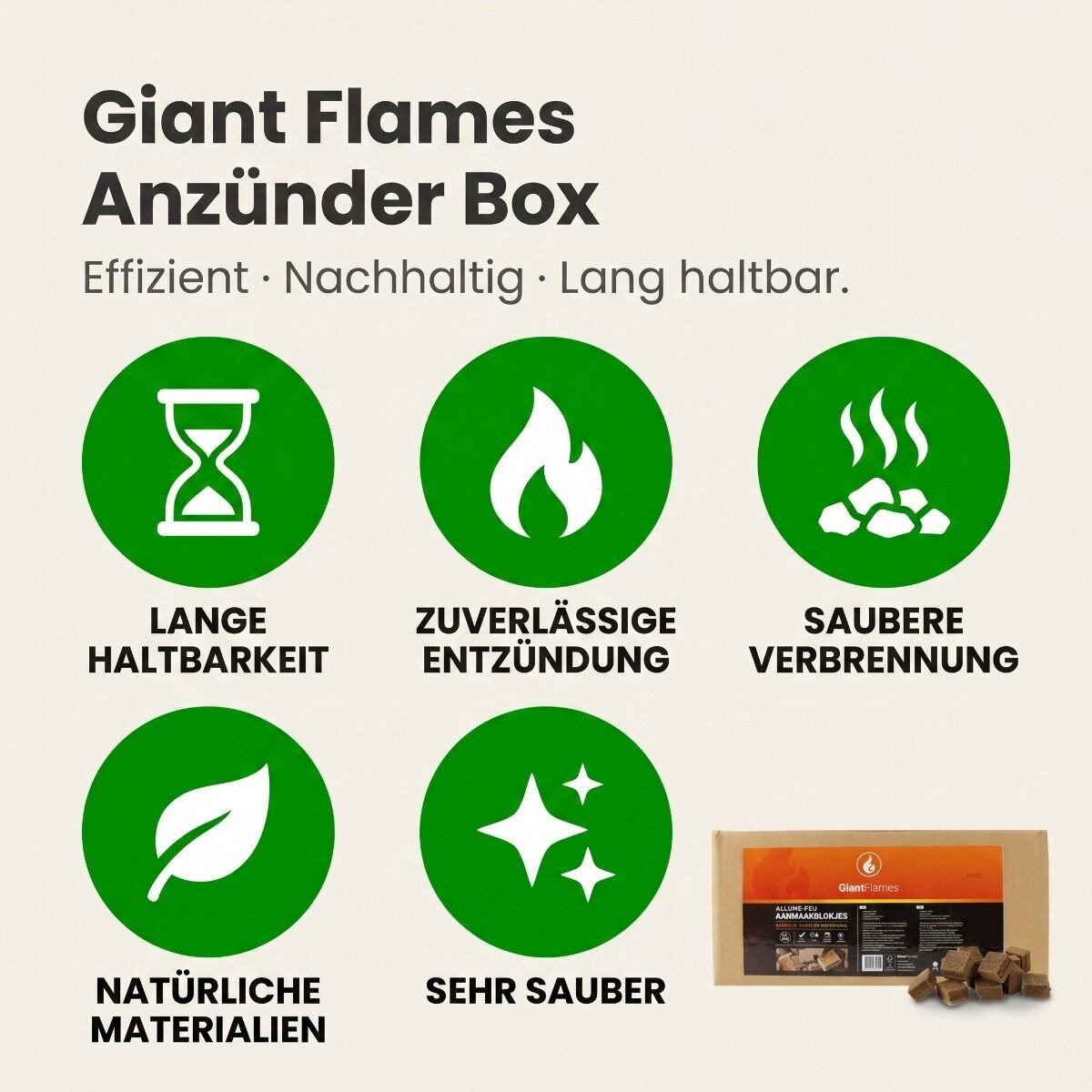 Ansicht 5
